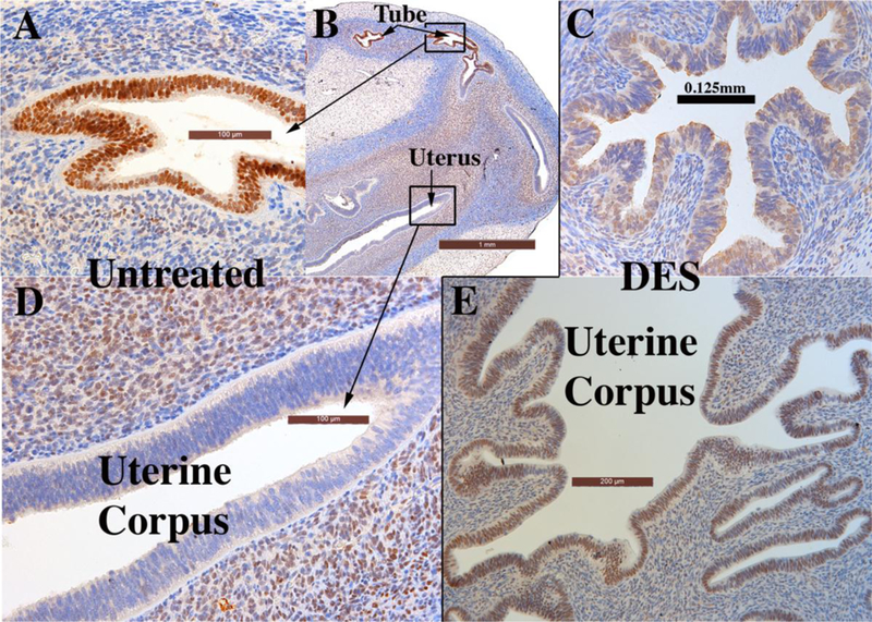 Figure 16.