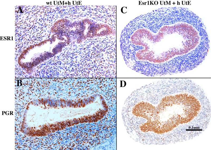 Figure 19.