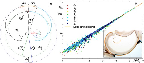 Fig. 3.