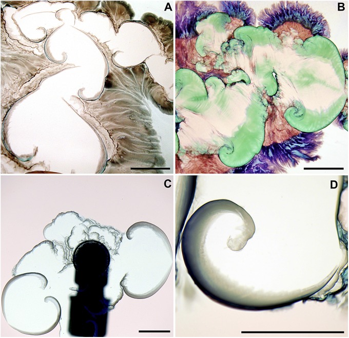 Fig. 2.