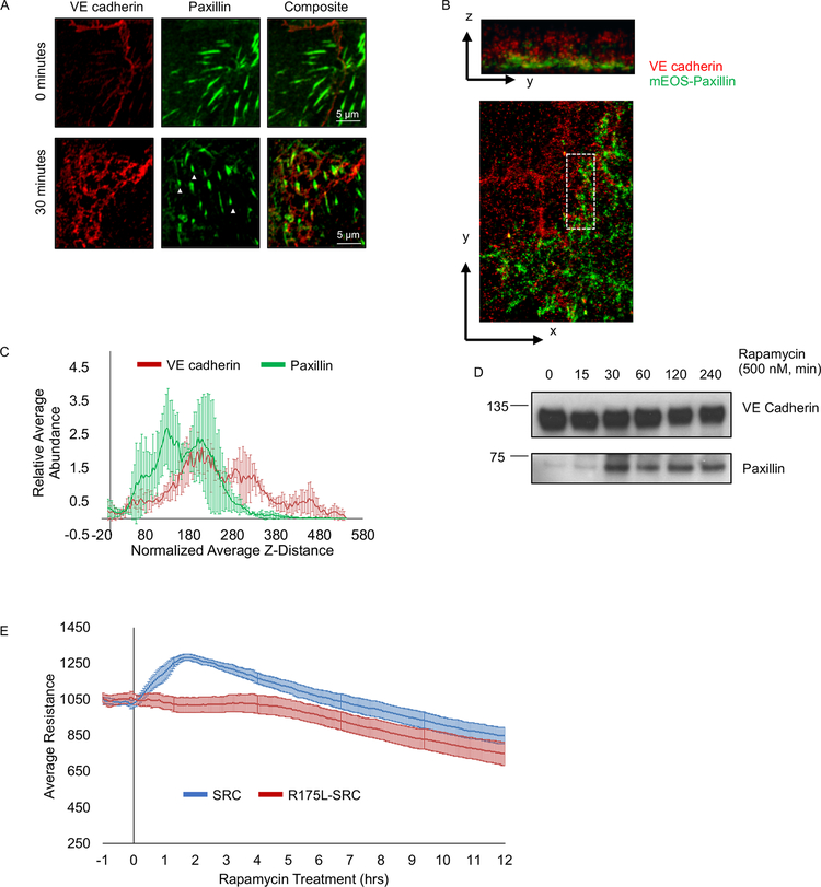 Figure 4: