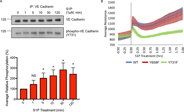 Figure 7: