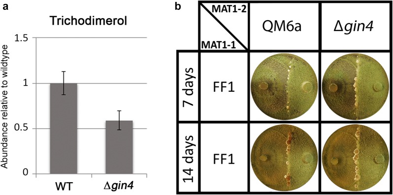 Fig. 4