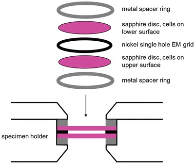 Fig. 2