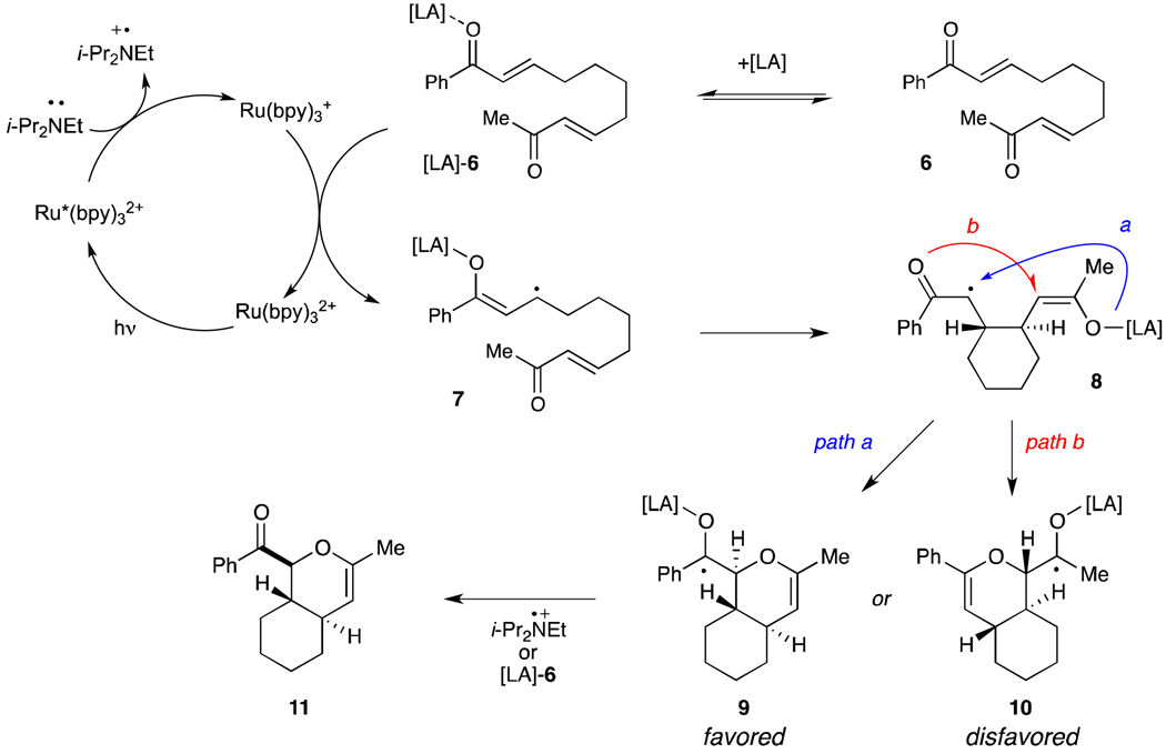 Scheme 2