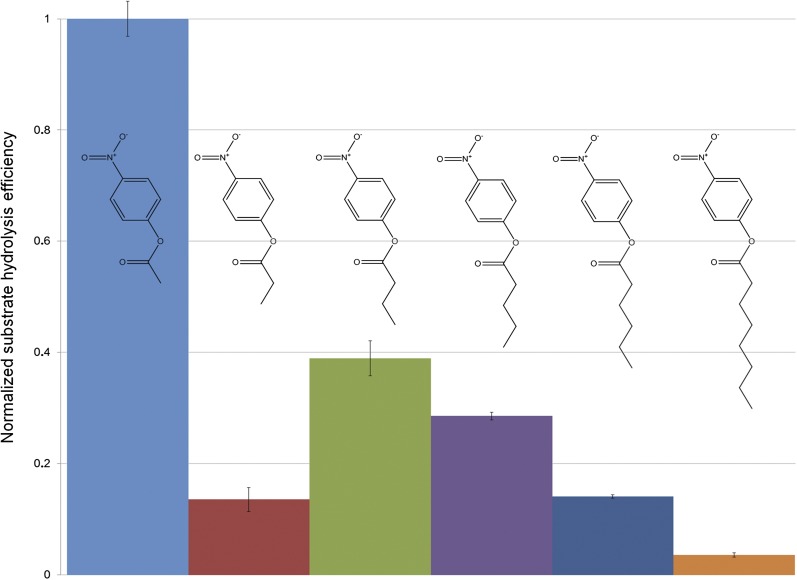 Fig. 3.