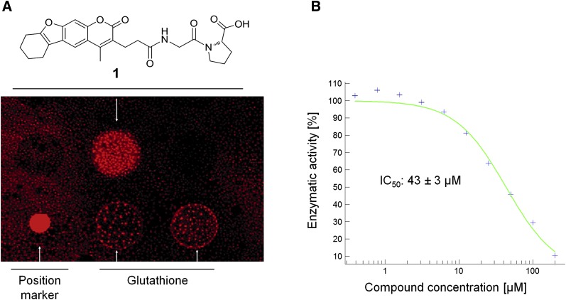 Fig. 4.