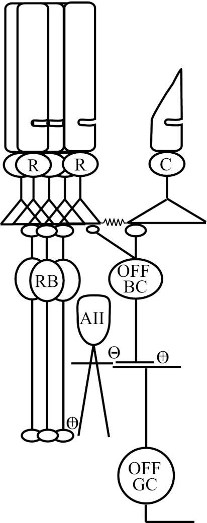 Fig. 1.