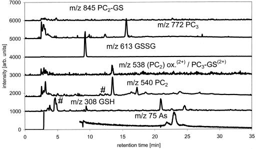 Figure 7.