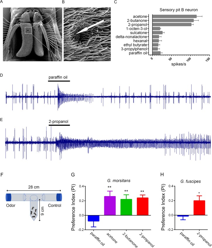 Fig 10