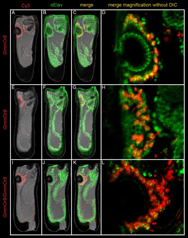 Fig 6