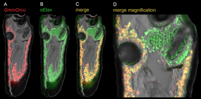 Fig 4