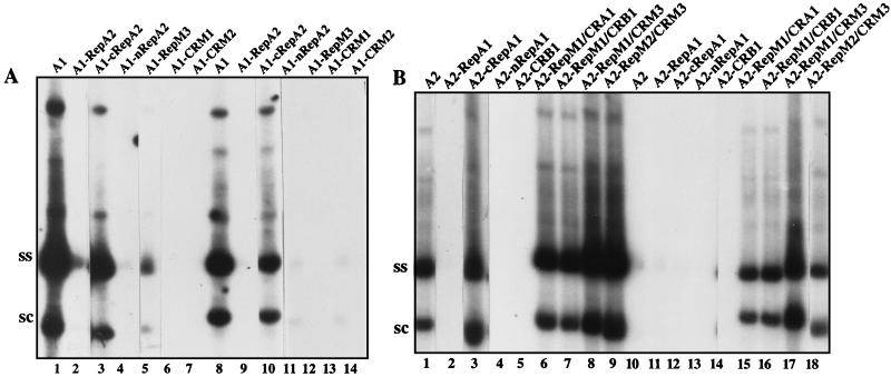FIG. 3