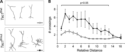 Figure 7.