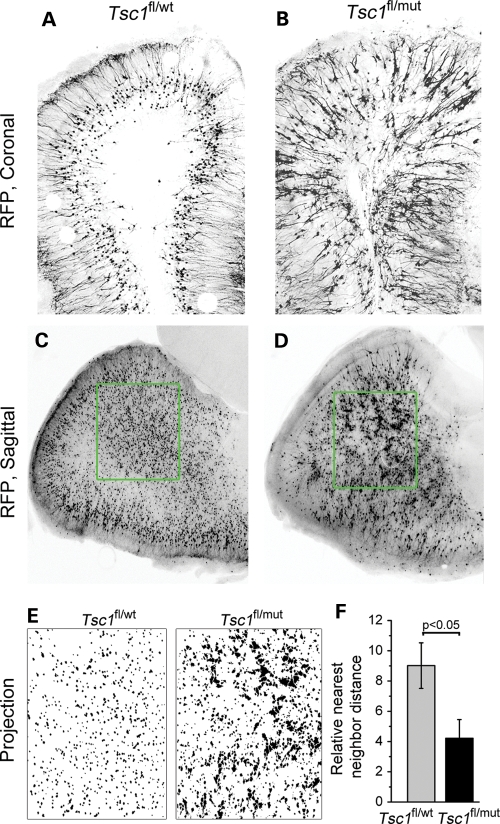 Figure 6.