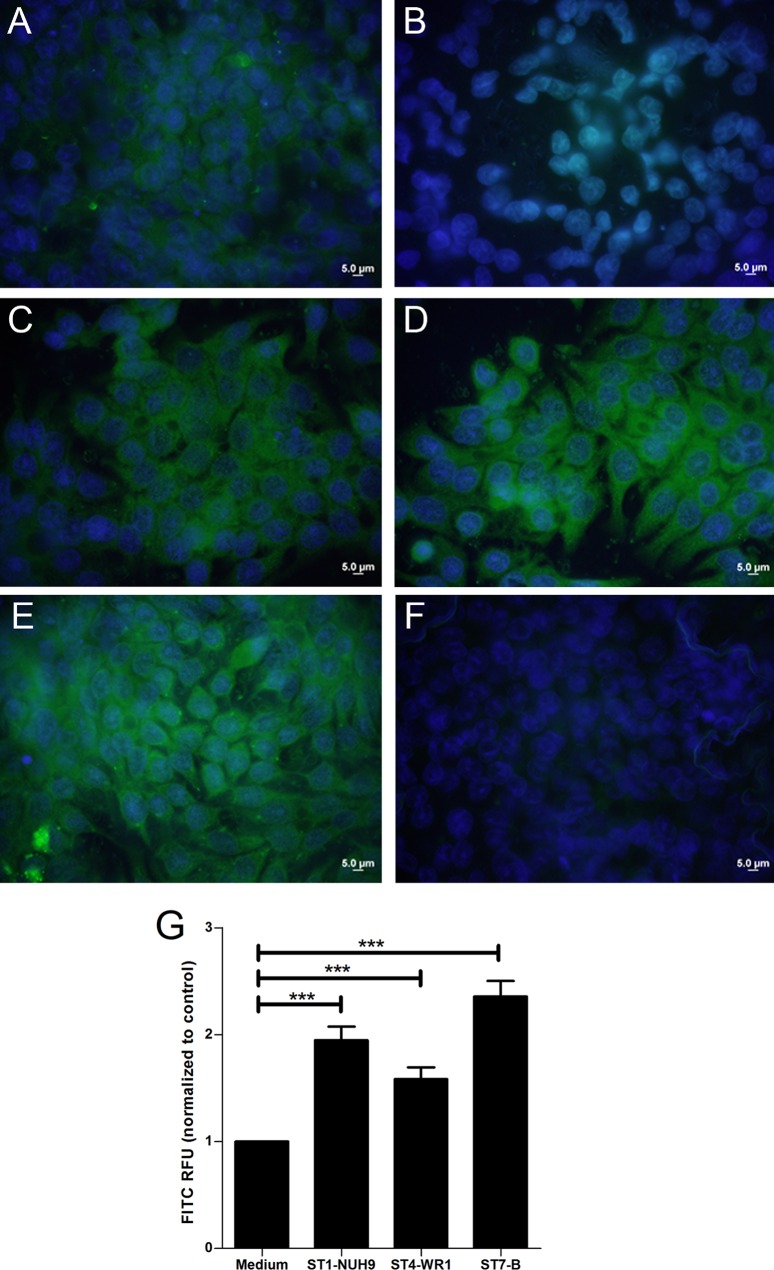 FIG 2