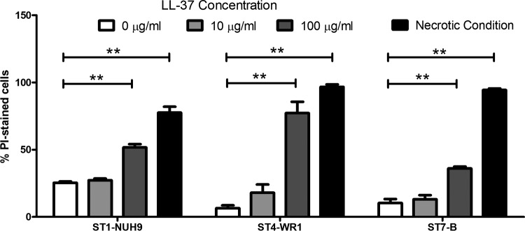 FIG 3