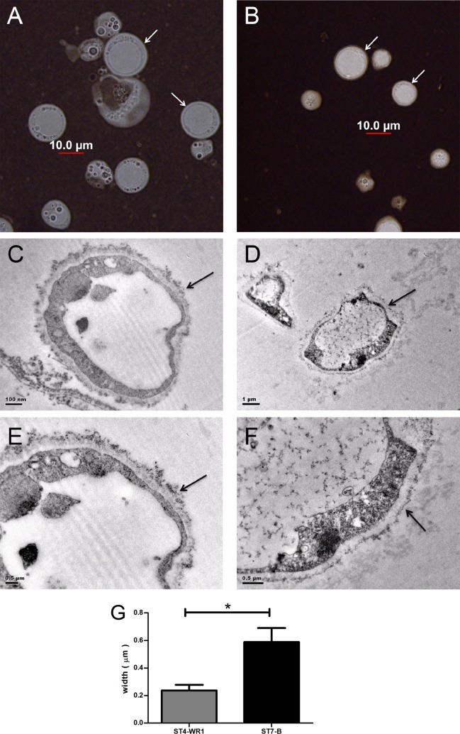 FIG 8