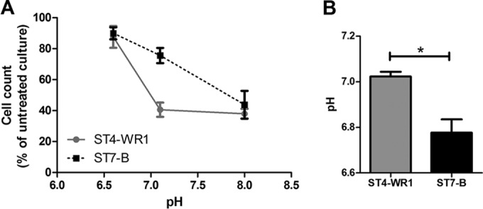 FIG 7