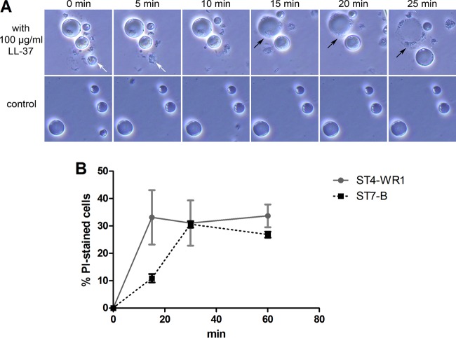 FIG 4