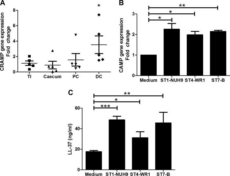 FIG 1