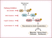 FIGURE 10: