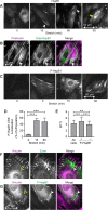 FIGURE 3: