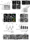 FIGURE 9: