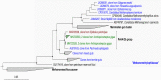 FIG 6