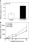 FIG 1