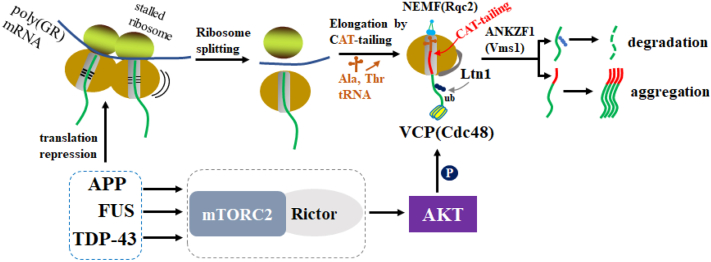 Figure 6