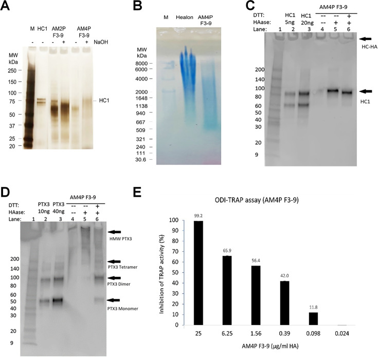 Figure 3—figure supplement 1.