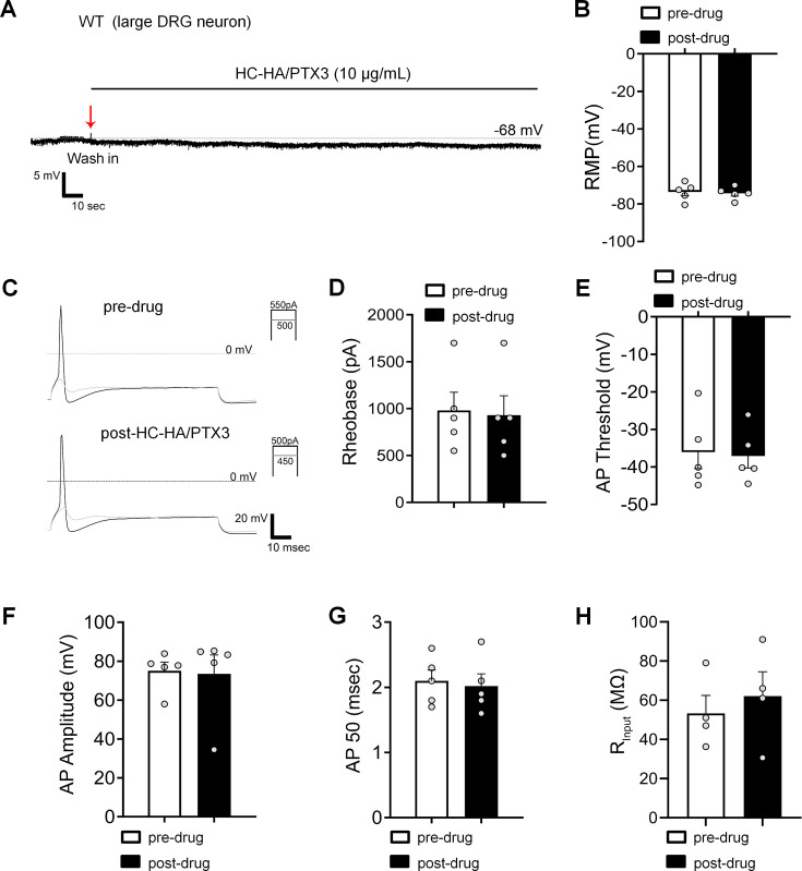 Figure 3—figure supplement 3.