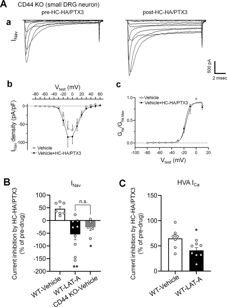 Figure 5—figure supplement 3.