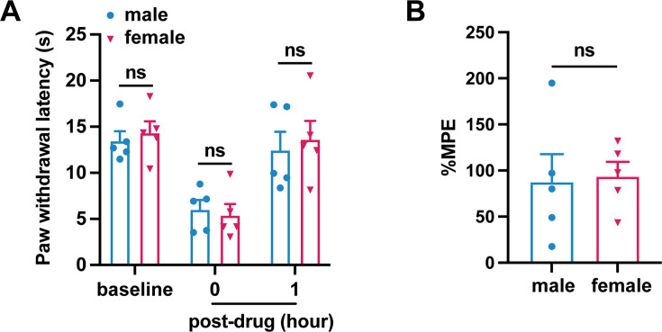 Figure 3—figure supplement 2.