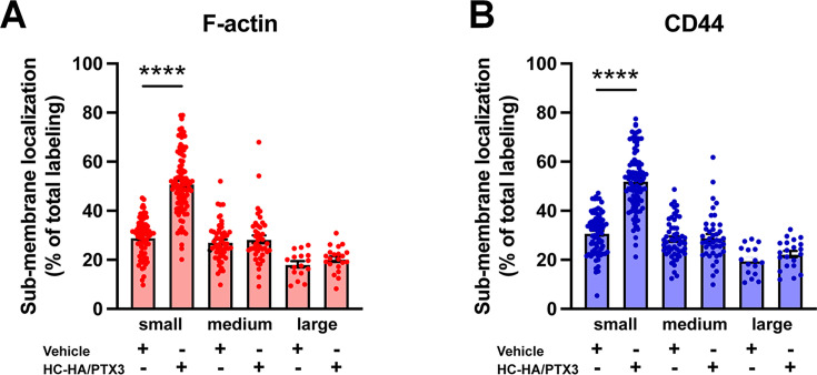 Figure 5—figure supplement 1.