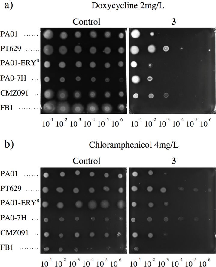 Fig 4