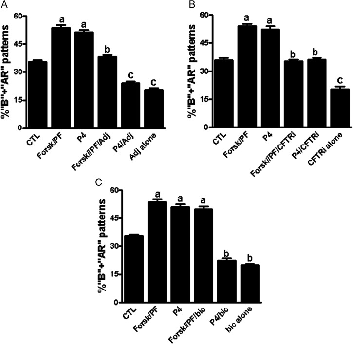 Figure 6