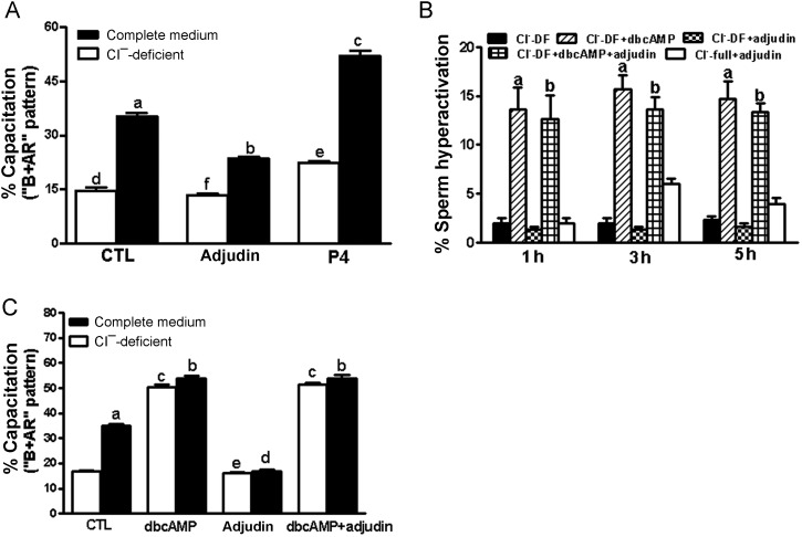 Figure 7