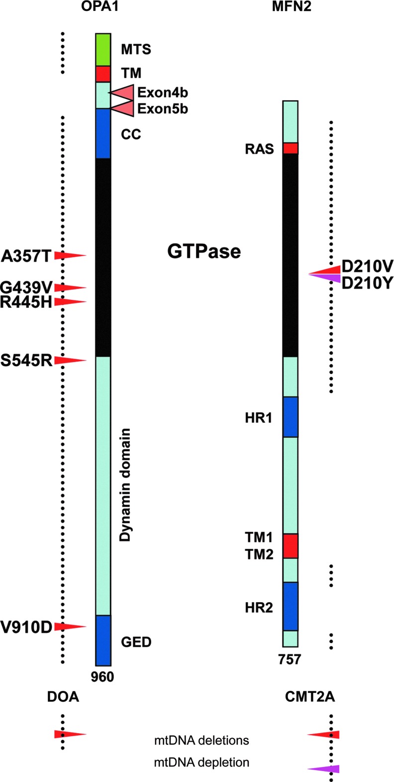 FIG. 3.