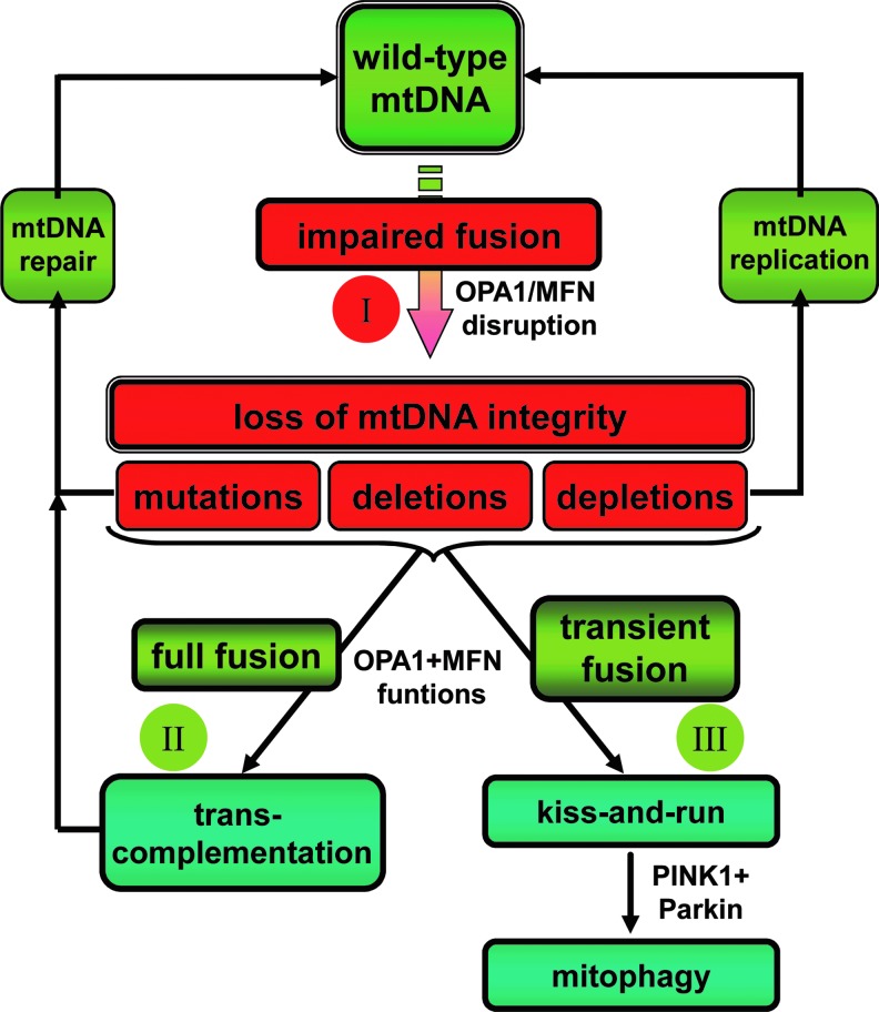 FIG. 7.