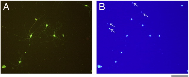 Supplementary Fig. 1