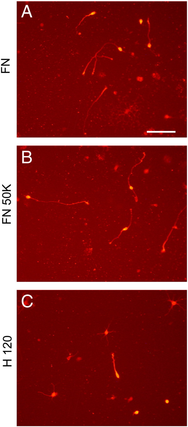 Fig. 6