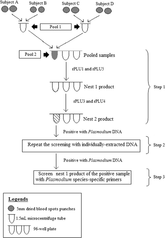 Fig. 2