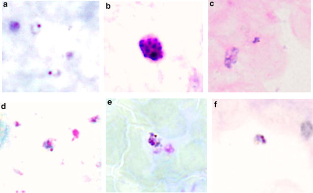 Fig. 3