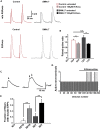 Figure 7