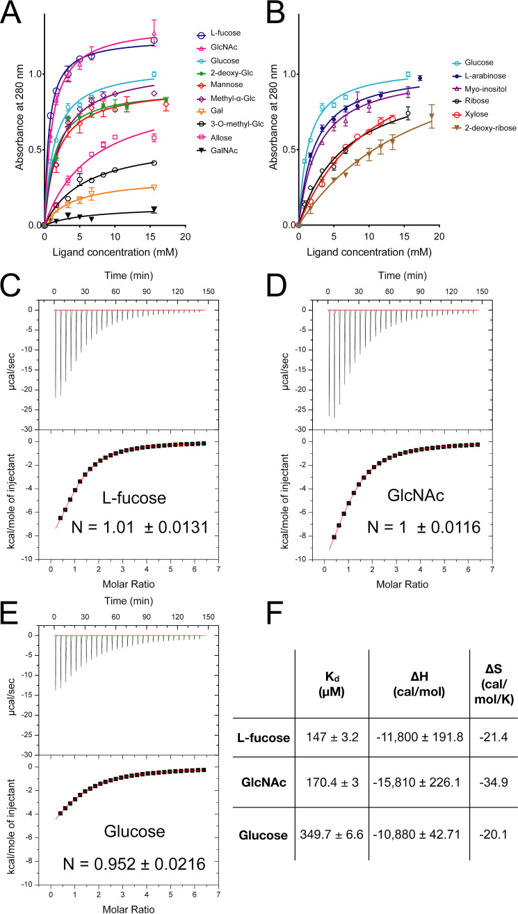 FIG 1