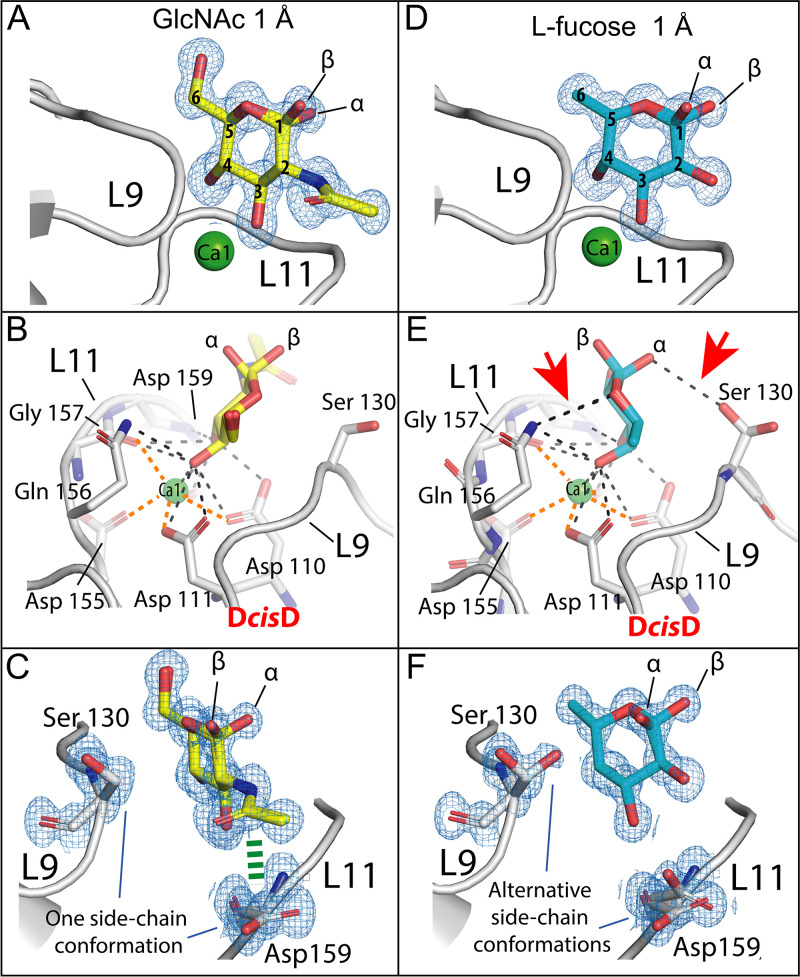 FIG 2