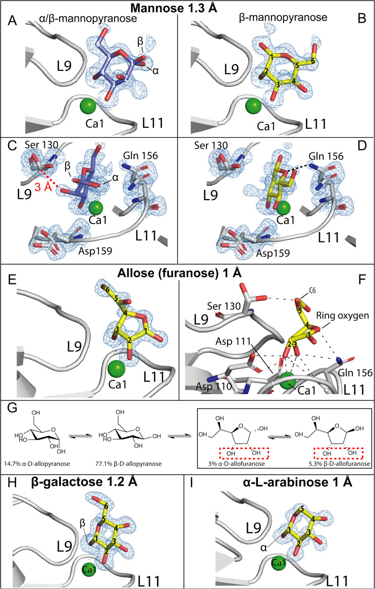 FIG 3