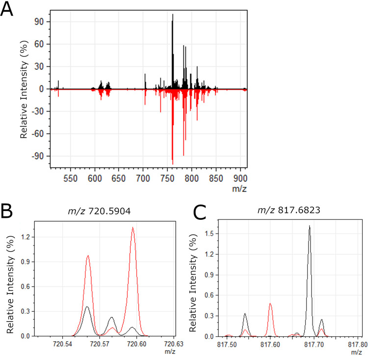 FIG 4